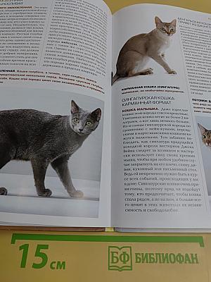 Кошка. Книга идеального хозяина