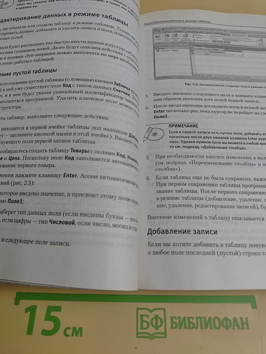Microsoft Access 2007. Видеосамоучитель