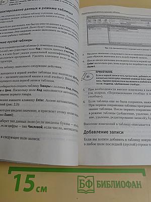 Microsoft Access 2007. Видеосамоучитель