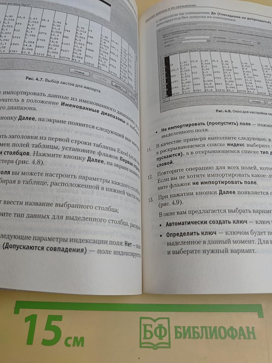 Microsoft Access 2007. Видеосамоучитель