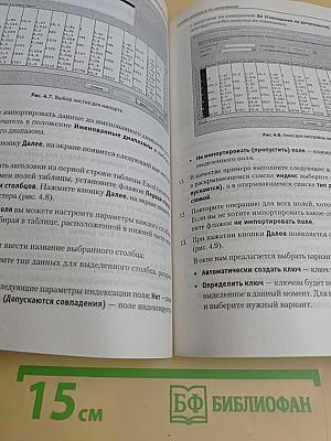 Microsoft Access 2007. Видеосамоучитель