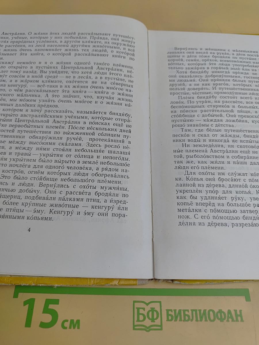Приключения доисторического мальчика