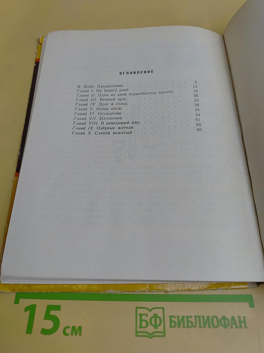 Приключения доисторического мальчика