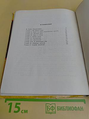 Приключения доисторического мальчика