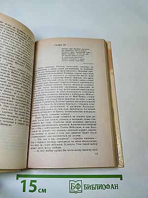 Шпион, или Повесть о нейтральной территории