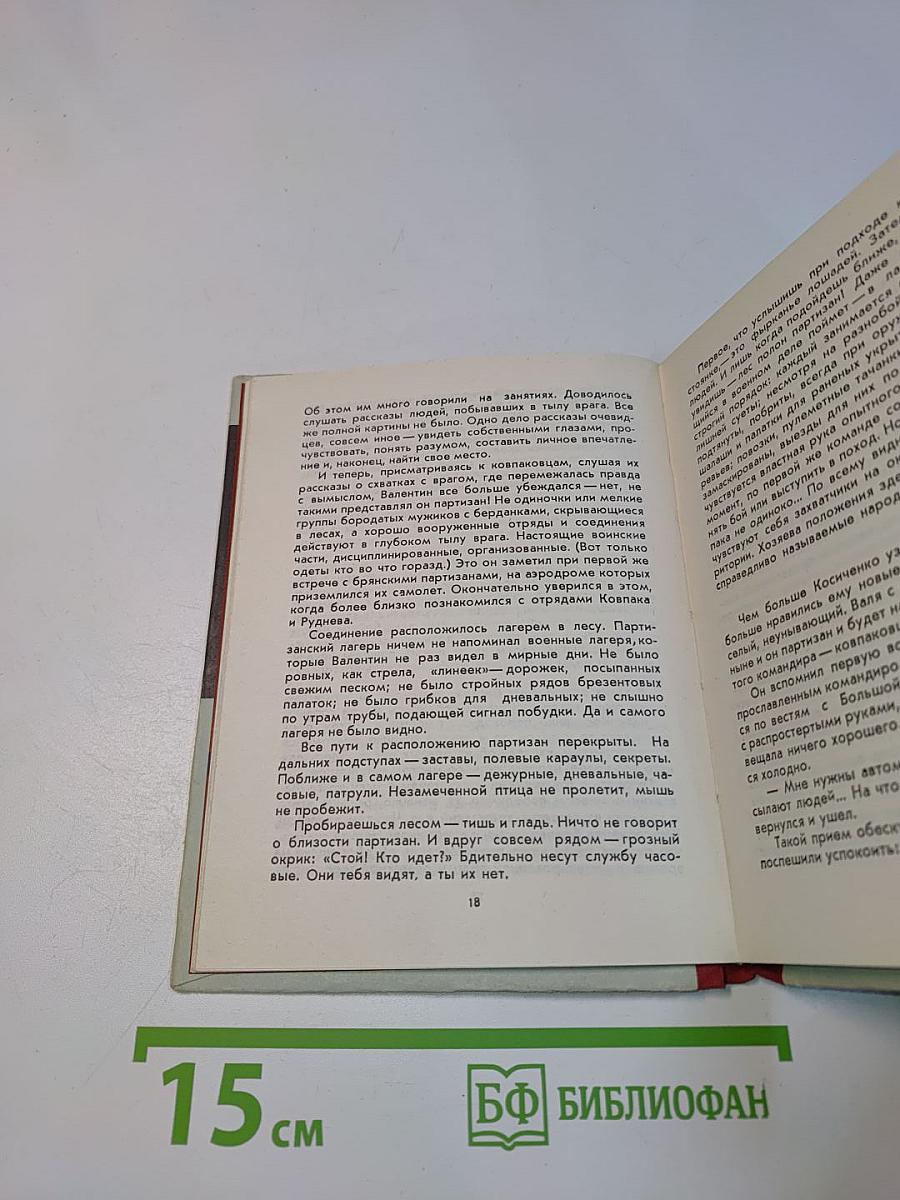 В шестнадцать мальчишеских лет