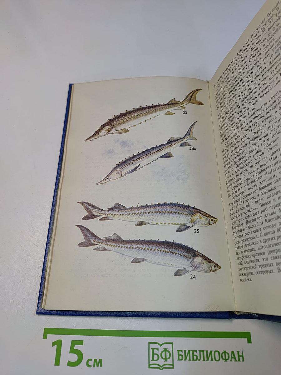 Атлас-определитель рыб. Книга для учащихся