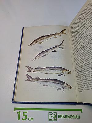 Атлас-определитель рыб. Книга для учащихся