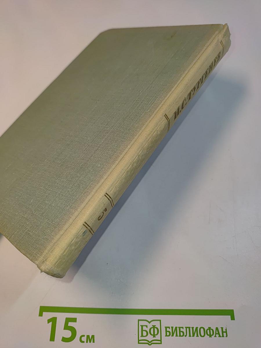 Собрание сочинений. Том пятый. Повести и рассказы 1844-1853