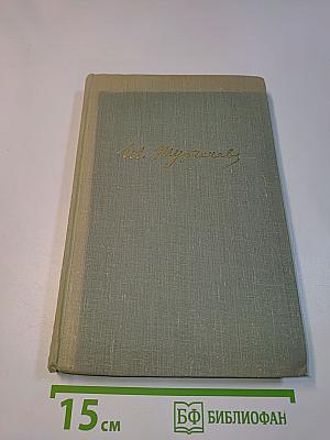 Собрание сочинений. Том десятый. Стихотворения в прозе, литературные и житейские воспоминания, избранные статьи и речи
