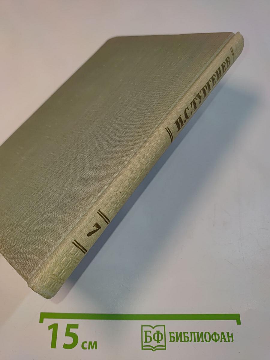 Собрание сочинений. Том седьмой. Повести и рассказы 1862-1870