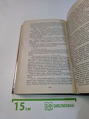 Слово и дело. Роман-хроника времен Анны Иоанновны. Книга вторая. Мои любезные конфиденты