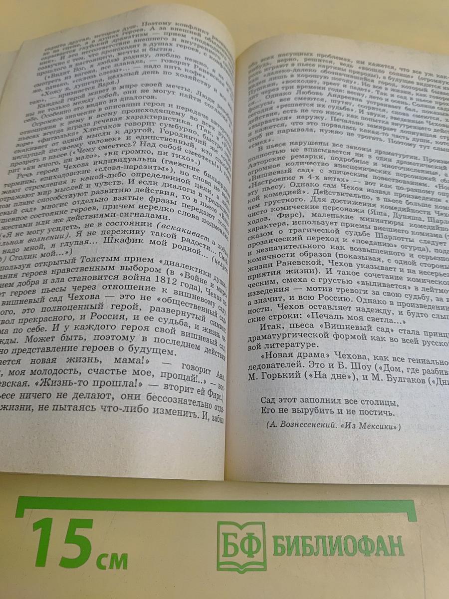 Лучшие экзаменационные сочинения. 400 золотых страниц
