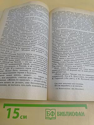 Лучшие экзаменационные сочинения. 400 золотых страниц
