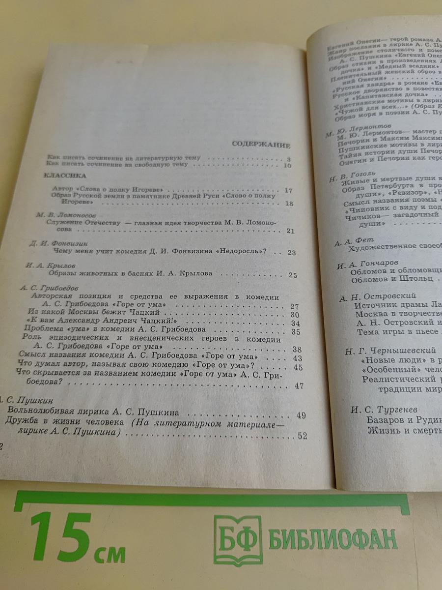 Лучшие экзаменационные сочинения. 400 золотых страниц