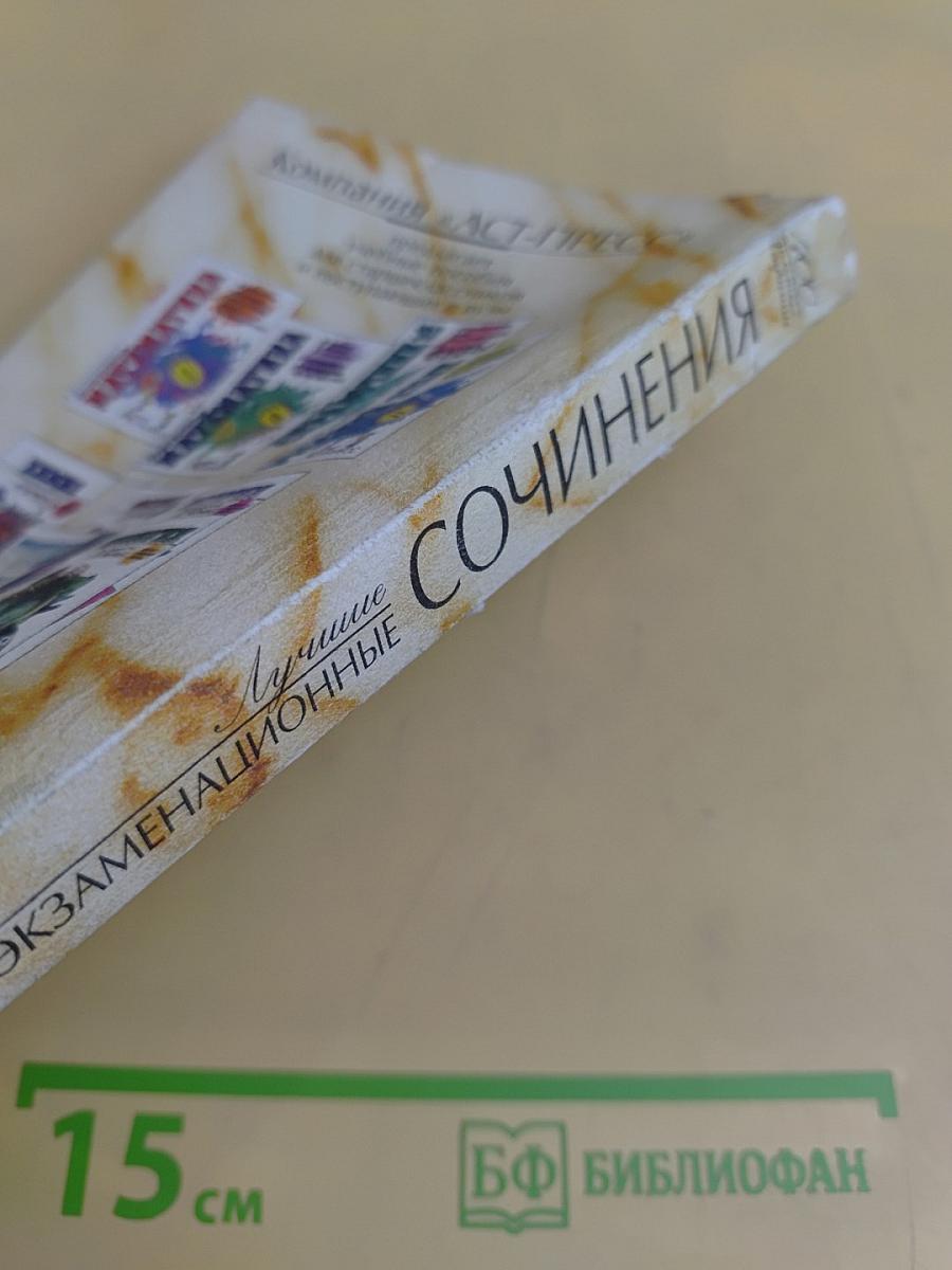 Лучшие экзаменационные сочинения. 400 золотых страниц