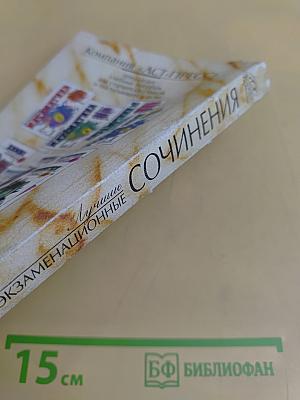 Лучшие экзаменационные сочинения. 400 золотых страниц