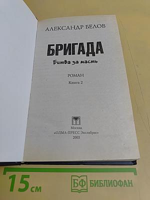 Бригада. Битва за масть. Книга 2