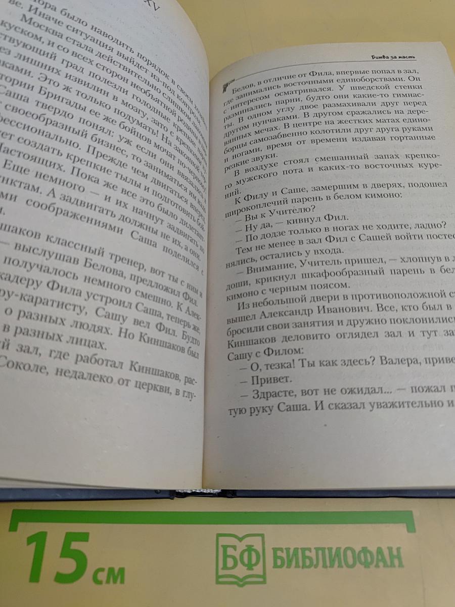 Бригада. Битва за масть. Книга 2