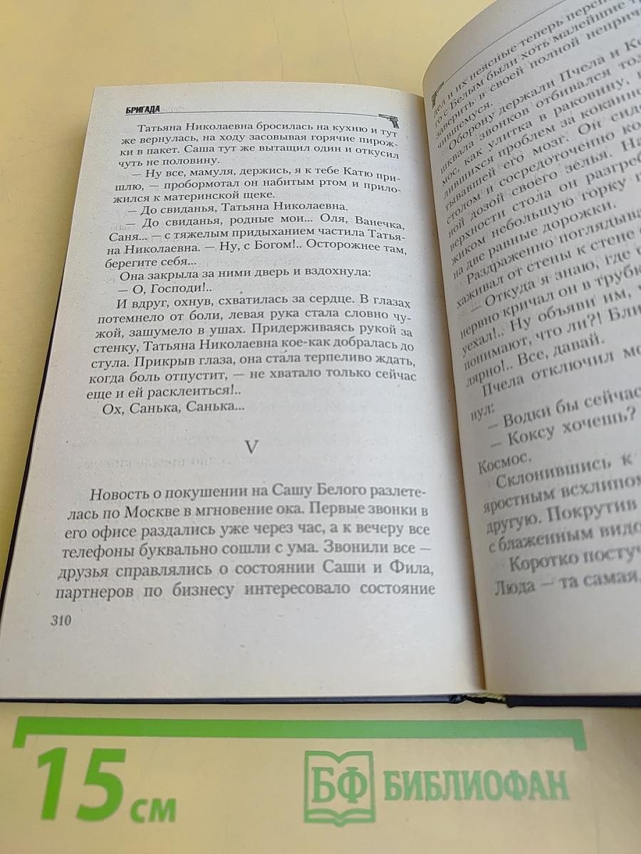 Бригада. Битва за масть. Книга 2