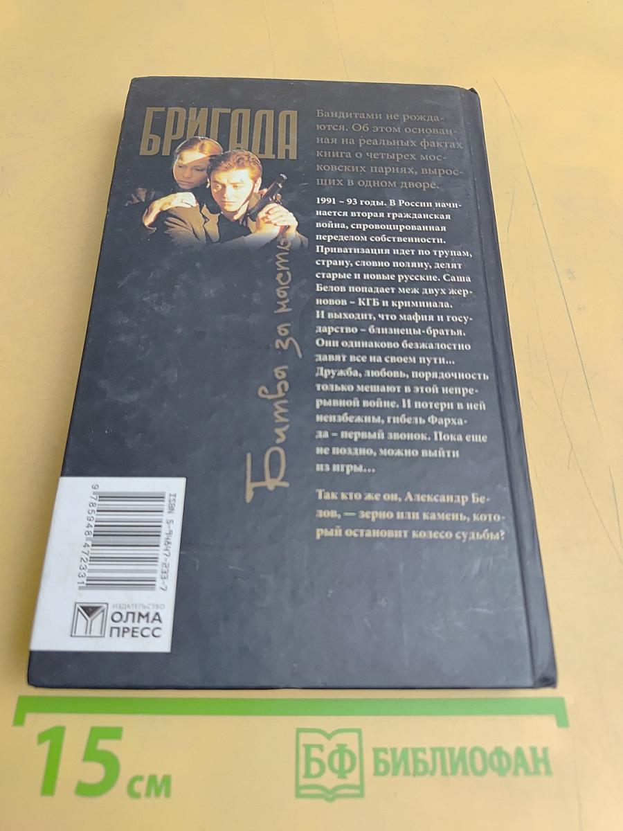 Бригада. Битва за масть. Книга 2