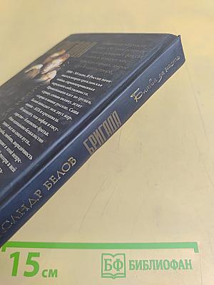 Бригада. Битва за масть. Книга 2