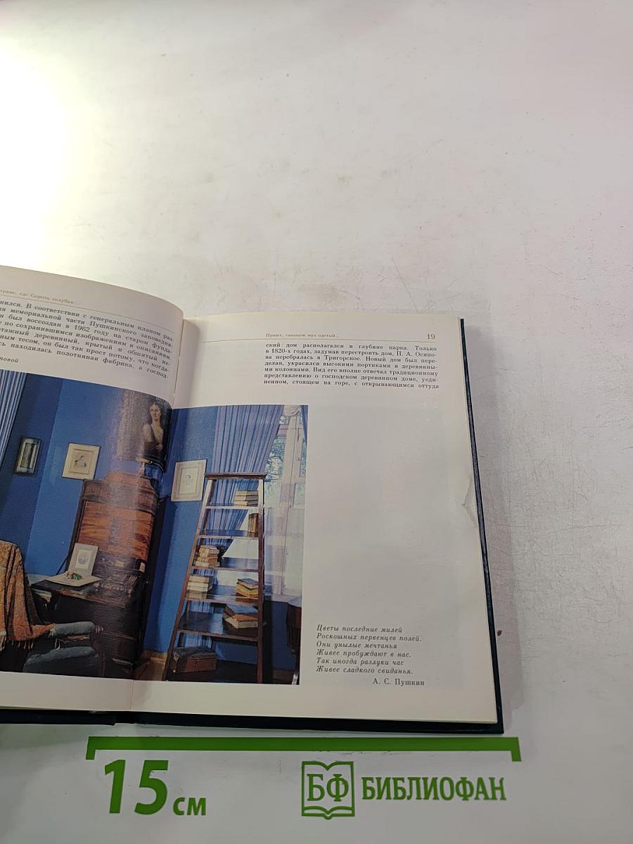 В стране, где сорок голубая...