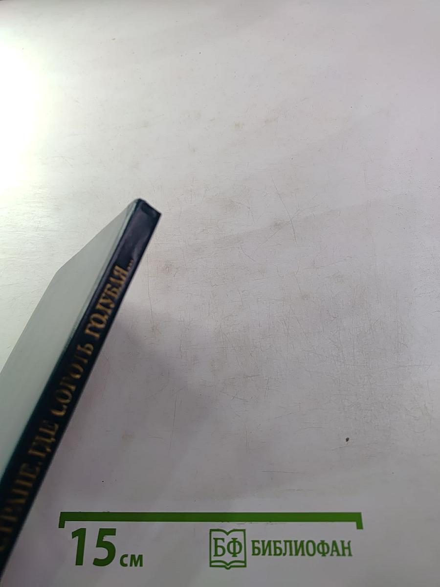 В стране, где сорок голубая...