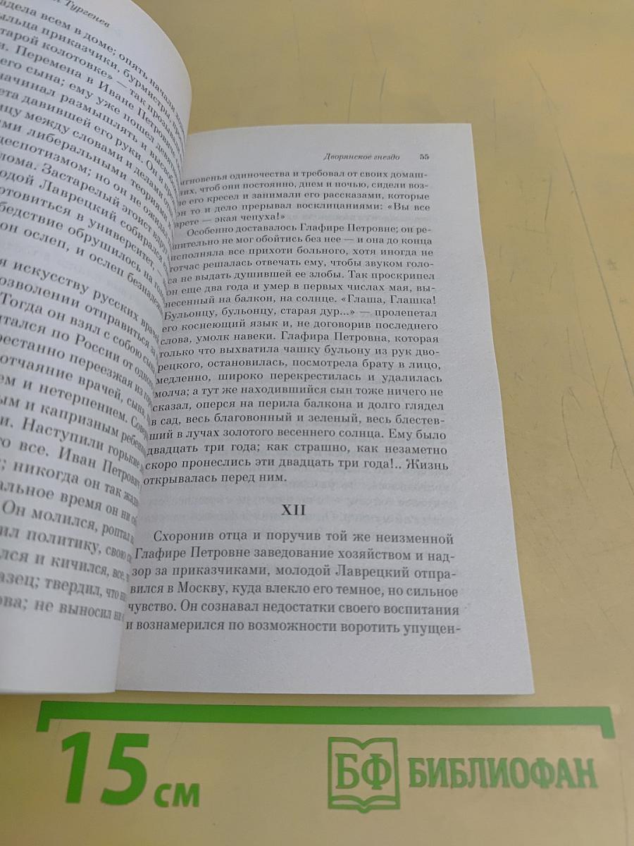 Дворянское гнездо