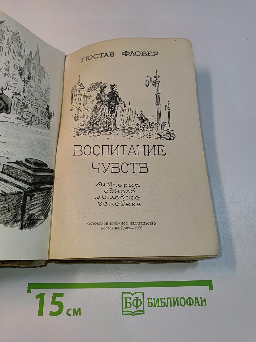 Воспитание чувств. История одного молодого человека