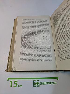 Воспитание чувств. История одного молодого человека