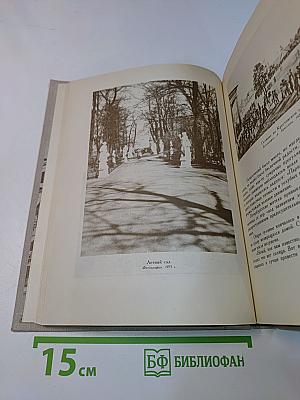 Петербургская повесть