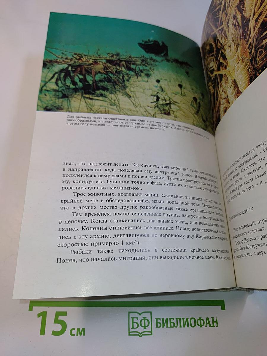 Сюрпризы моря
