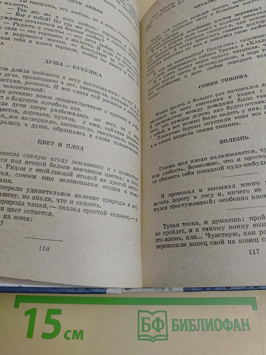 Кладовая солнца. Глаза земли. Корабельная чаща
