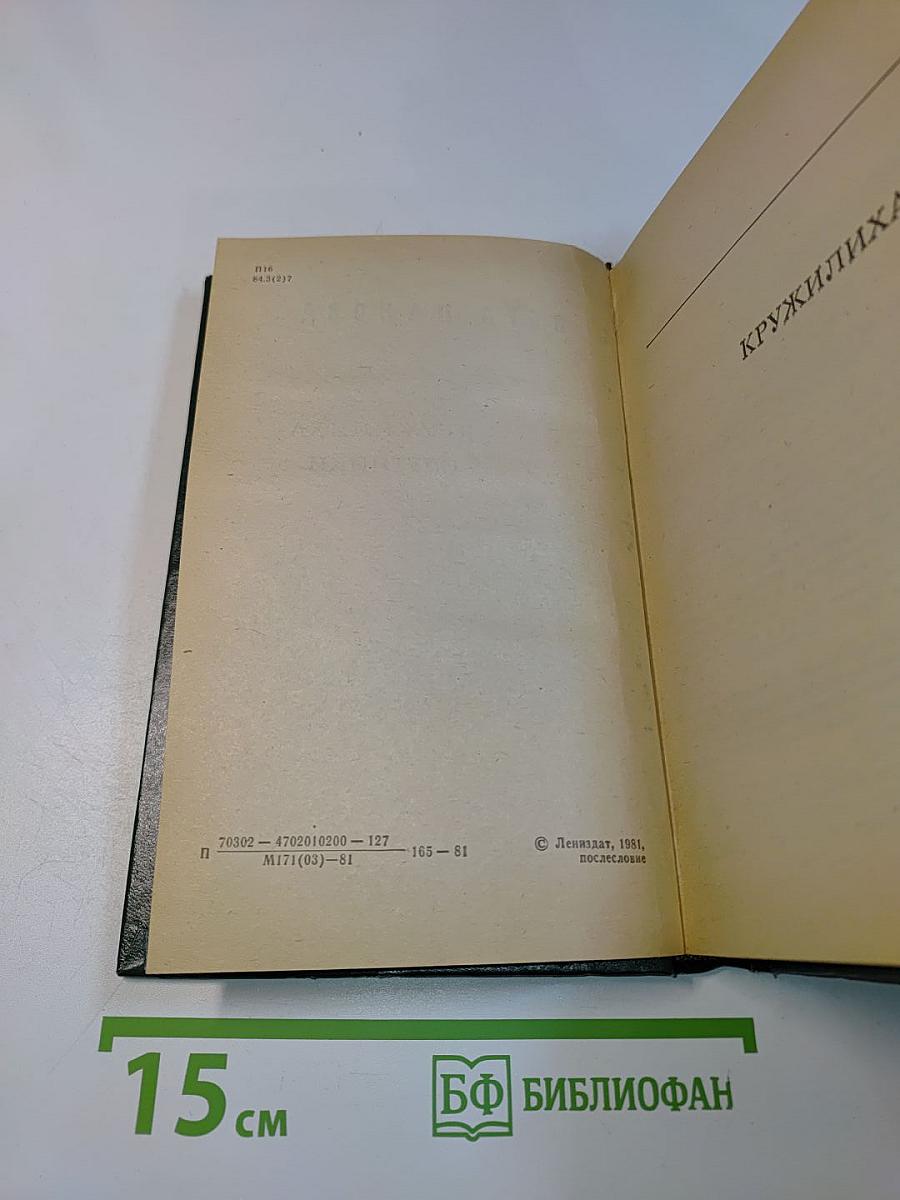 Кружилиха. Спутники