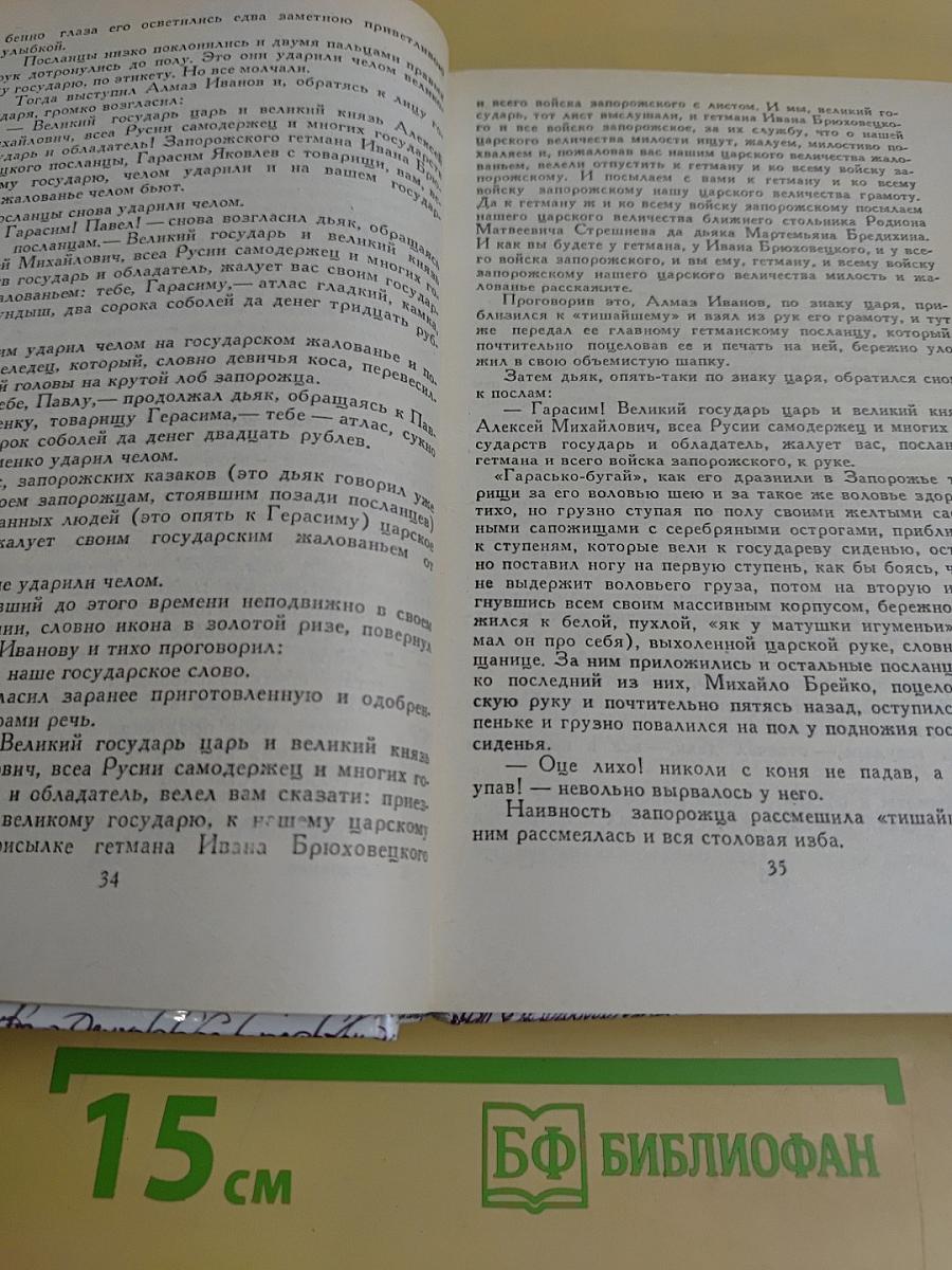 За чьи грехи? Великий раскол