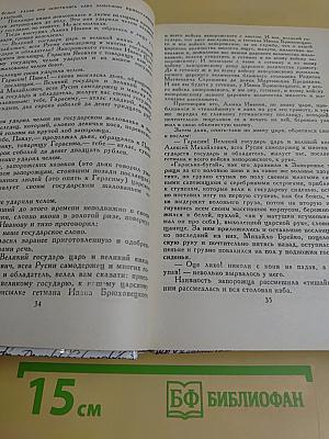 За чьи грехи? Великий раскол