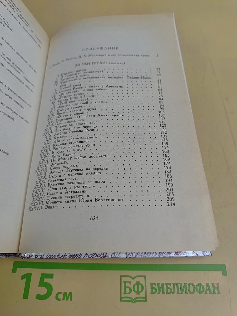 За чьи грехи? Великий раскол