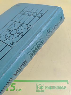 Кузнецкий мост. Книга III