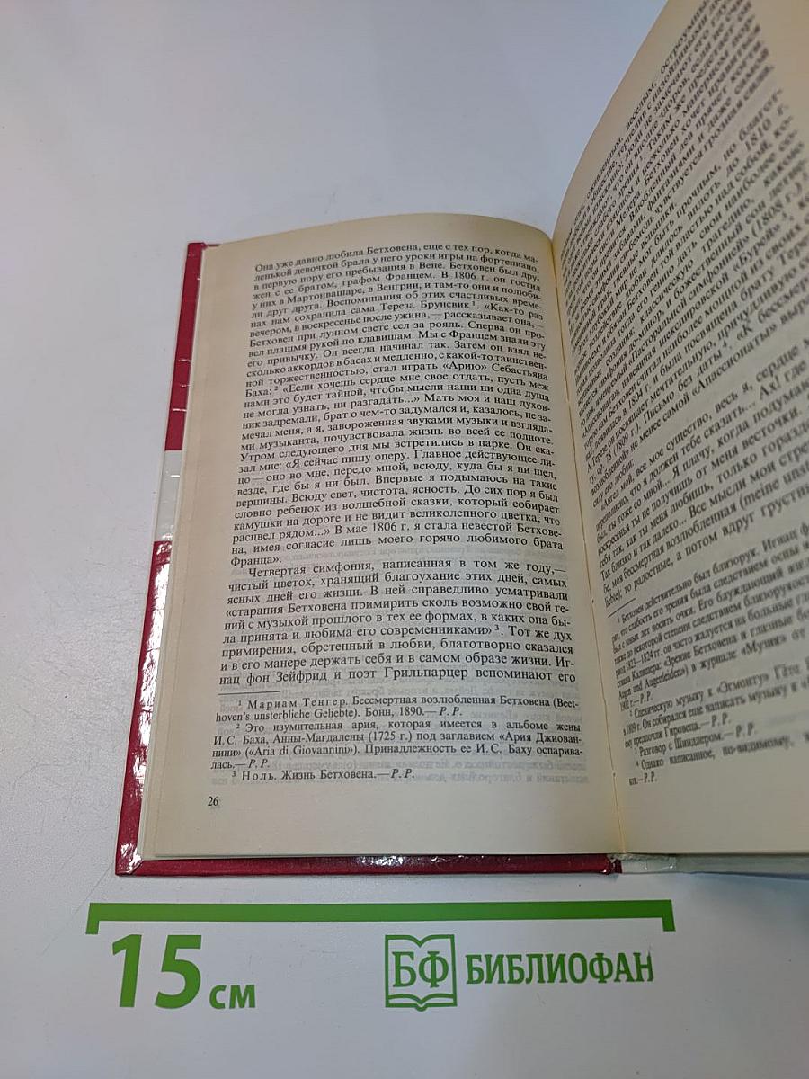 Жизнь великих людей. Роман