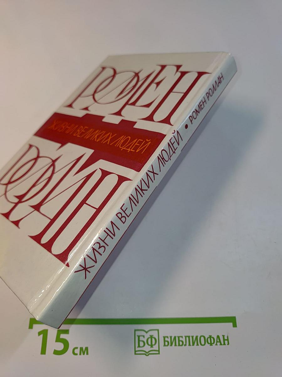 Жизнь великих людей. Роман