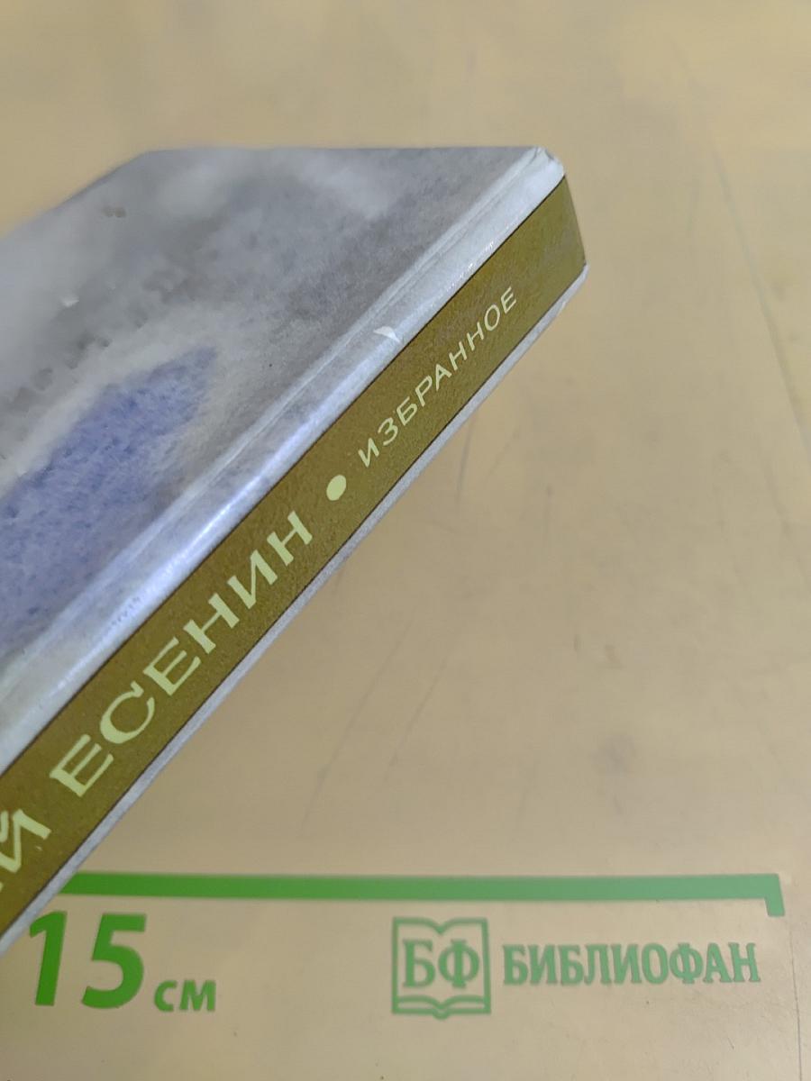 Сергей Есенин. Стихи и поэмы