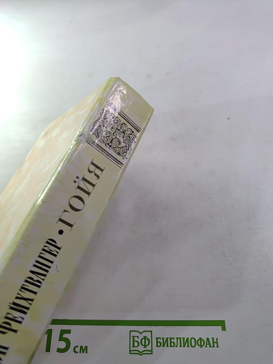 Гойя, или Тяжкий путь познания