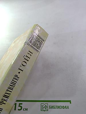 Гойя, или Тяжкий путь познания