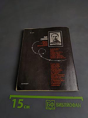 Сын Сталина. Жизнь и гибель Якова Джугашвили