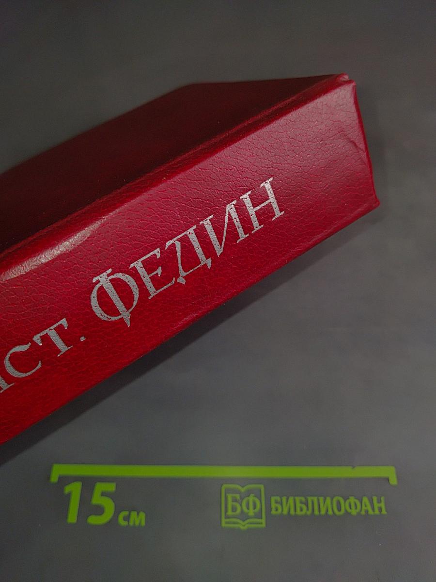 Первые радости. Необыкновенное лето