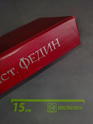 Первые радости. Необыкновенное лето