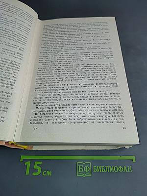 Щит и меч