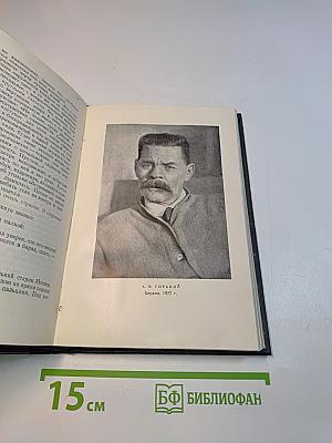 Собрание сочинений в 30 томах. Том 15. Рассказы, очерки, заметки из дневника, воспоминания. 1921-1924