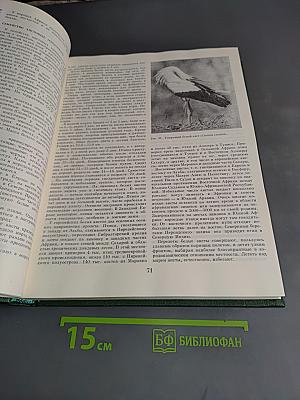Жизнь животных. Том шестой. Птицы